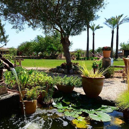 Agroturismo Finca Sant Blai Campos  Exterior foto