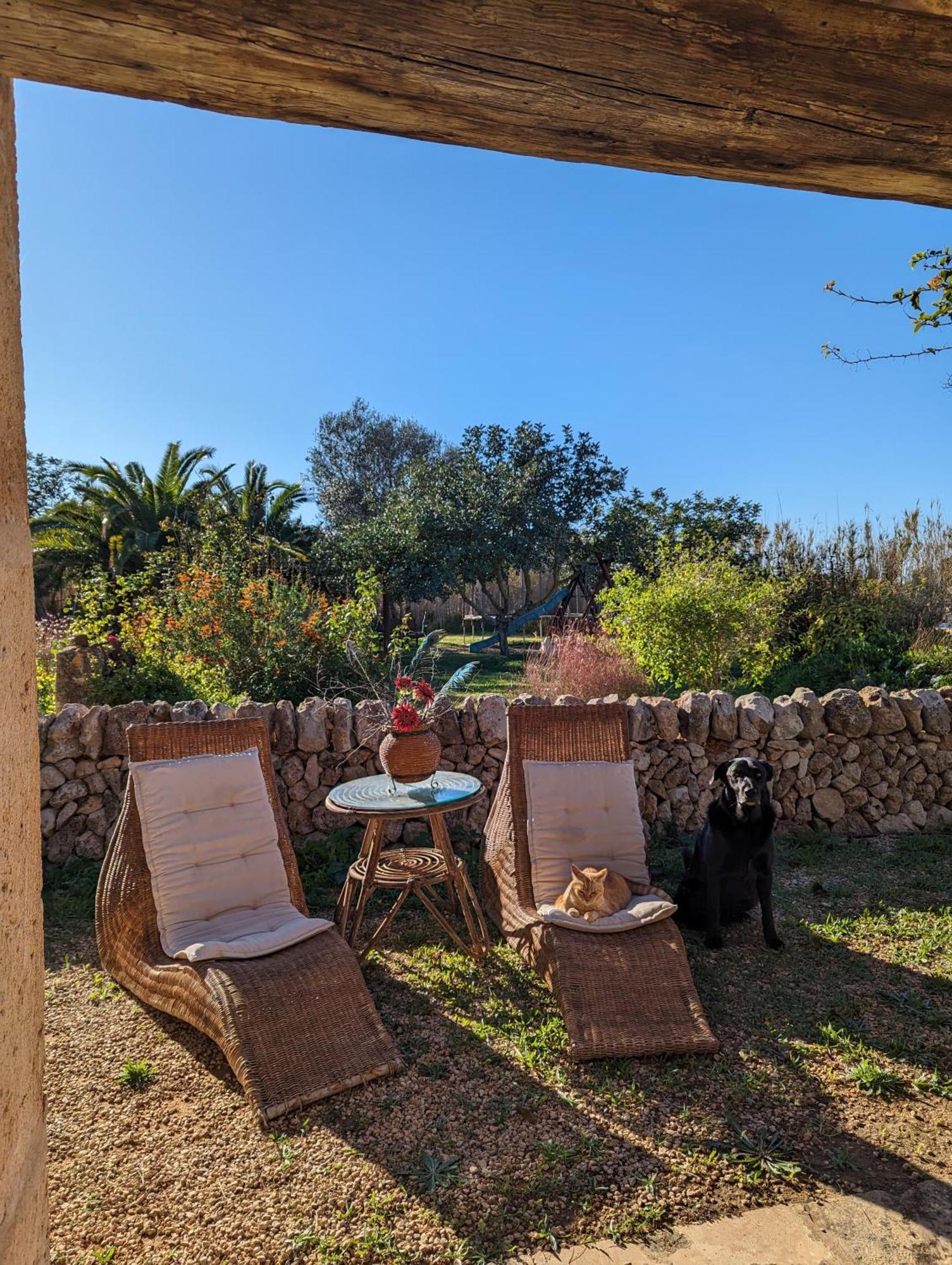 Agroturismo Finca Sant Blai Campos  Exterior foto